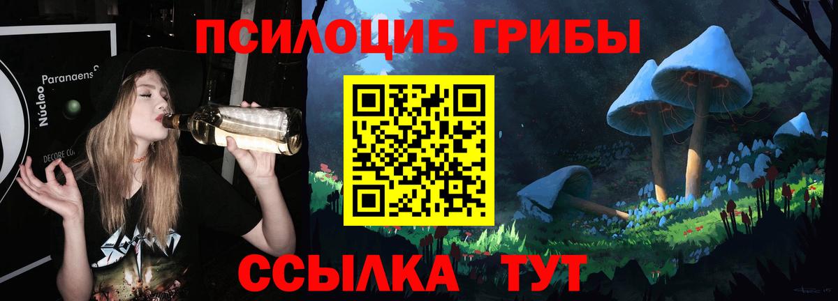 Ижевск  Псилоцибиновые грибы GOLDEN TEACHER  Псилоцибиновые грибы Magic Shrooms  купить наркотик  Вход с VPN 
